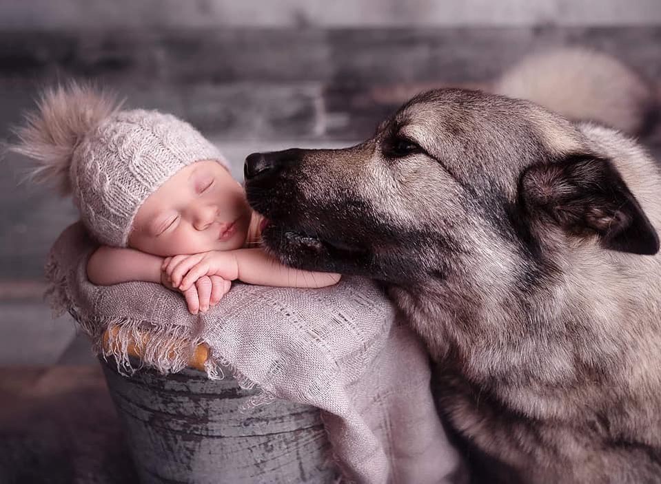 • BabyKnits - Cable Knit Hat •